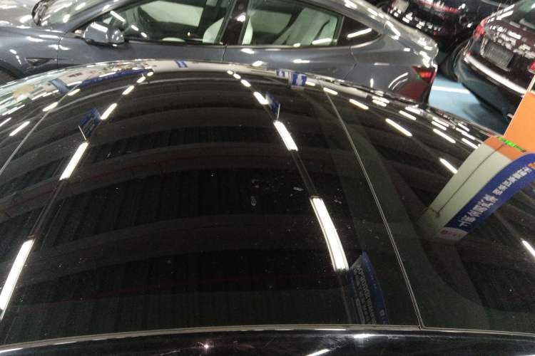 Used Tesla Model 3 2020 Standard Range Rear-Wheel Drive Upgraded Version Roof