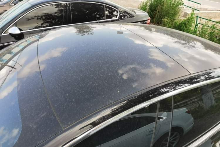 Used Tesla Model 3 2020 Revised Version Standard Range Rear-Wheel Drive – Upgraded Edition Roof