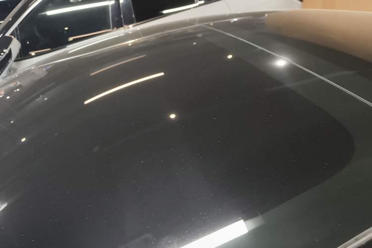 Used Tesla Model 3 2020 Standard Range Rear-Wheel Drive Upgraded Version Roof