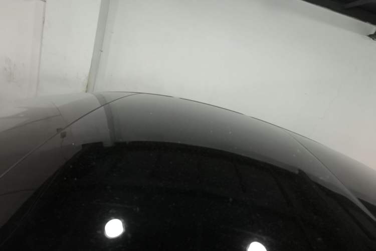 Used Tesla Model 3 2020 Standard Range Rear-Wheel Drive Upgraded Version Roof
