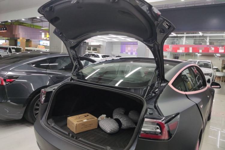 Used Tesla Model 3 2020 Standard Range Rear-Wheel Drive Upgraded Version Trunk