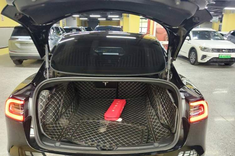 Used Tesla Model 3 2020 Revised Version Standard Range Rear-Wheel Drive – Upgraded Edition Trunk