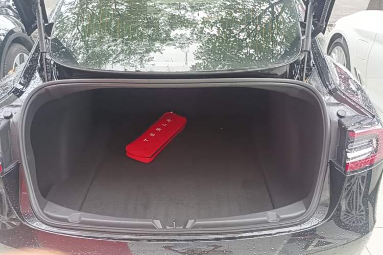 Used Tesla Model 3 2020 Standard Range Rear-Wheel Drive Upgraded Version Trunk
