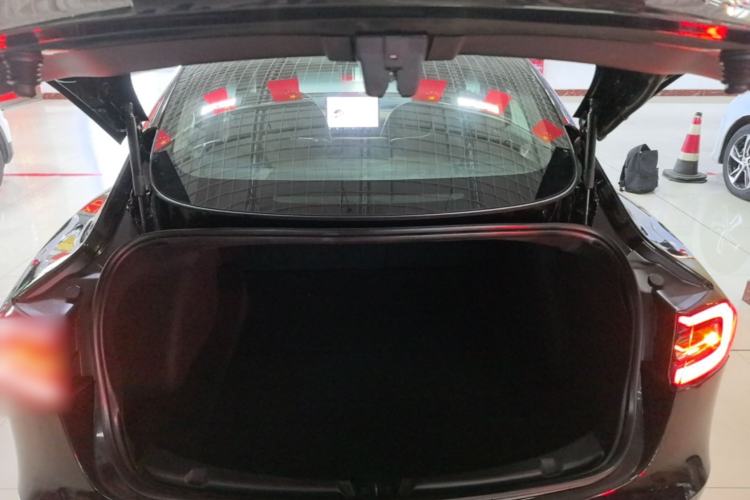 Used Tesla Model 3 2020 Standard Range Rear-Wheel Drive Upgraded Version Trunk