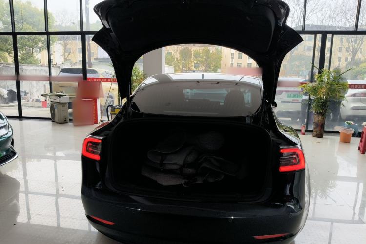 Used Tesla Model 3 2020 Standard Range Rear-Wheel Drive Upgraded Version Trunk