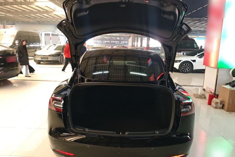Used Tesla Model 3 2020 Standard Range Rear-Wheel Drive Upgraded Version Trunk