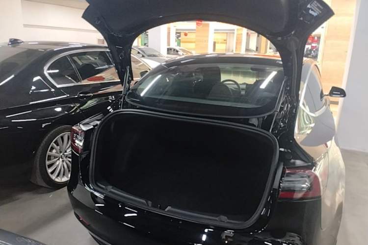 Used Tesla Model 3 2020 Revised Version Standard Range Rear-Wheel Drive – Upgraded Edition Trunk