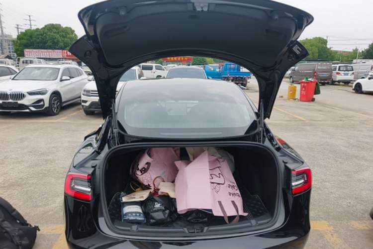 Used Tesla Model 3 2020 Revised Version Standard Range Rear-Wheel Drive – Upgraded Edition Trunk