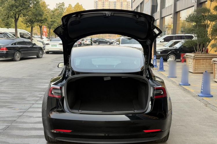 Used Tesla Model 3 2020 Standard Range Rear-Wheel Drive Upgraded Version Trunk