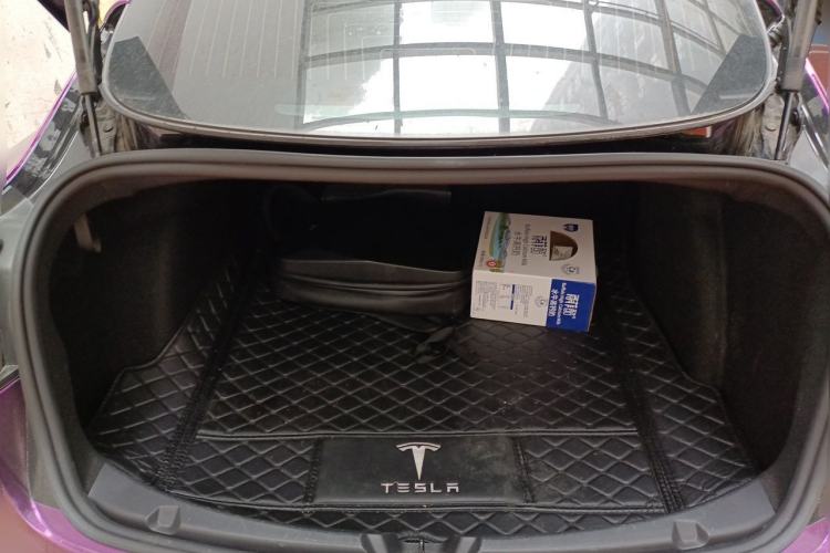 Used Tesla Model 3 2020 Standard Range Rear-Wheel Drive Upgraded Version Trunk