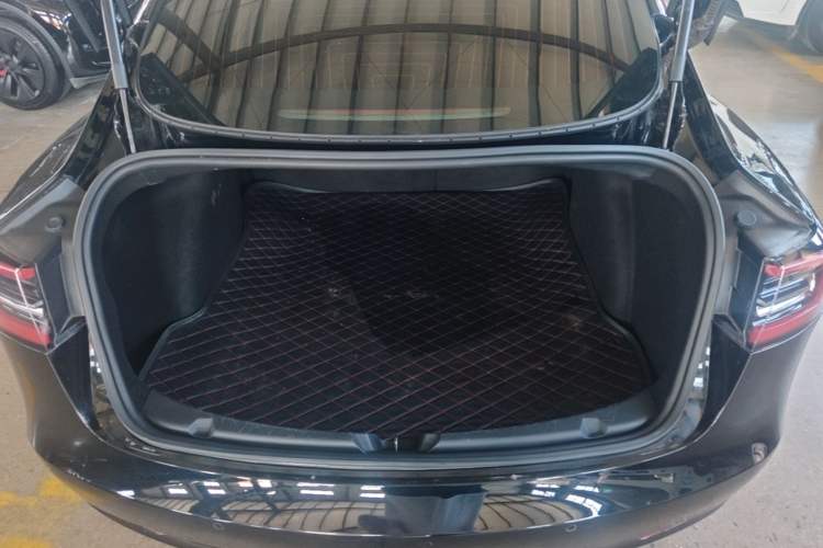 Used Tesla Model 3 2020 Revised Version Standard Range Rear-Wheel Drive – Upgraded Edition Trunk