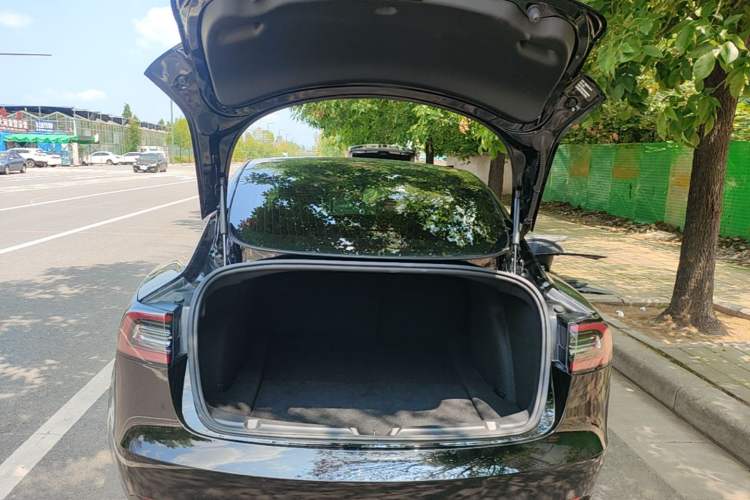 Used Tesla Model 3 2020 Revised Version Standard Range Rear-Wheel Drive – Upgraded Edition Trunk