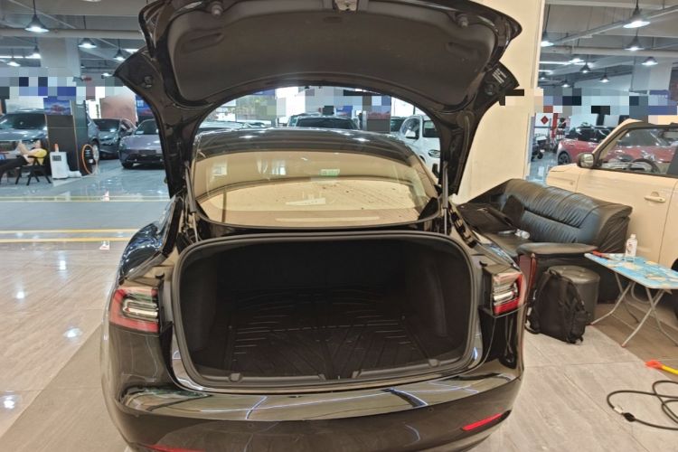 Used Tesla Model 3 2020 Standard Range Rear-Wheel Drive Upgraded Version Trunk