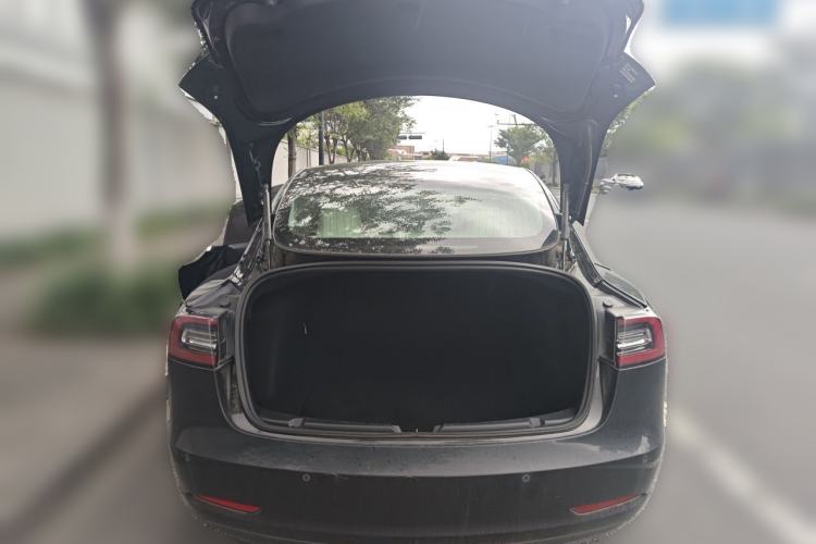 Used Tesla Model 3 2020 Revised Version Standard Range Rear-Wheel Drive – Upgraded Edition Trunk