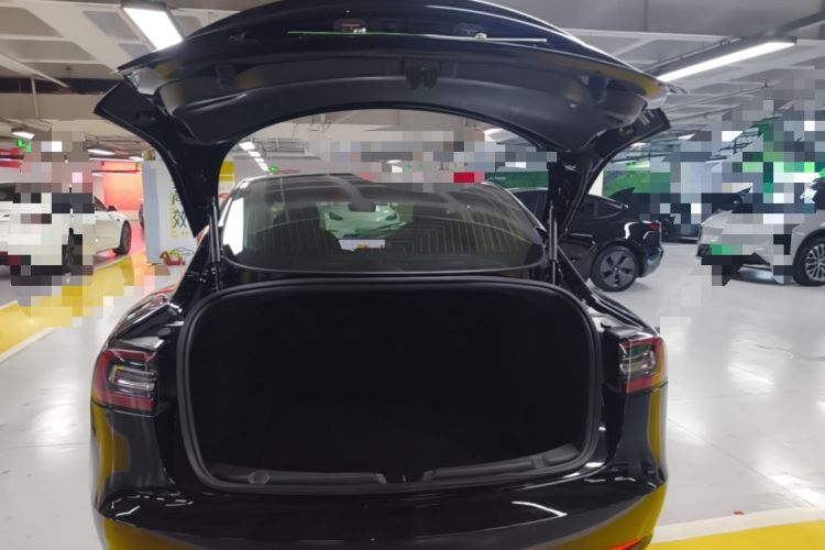 Used Tesla Model 3 2020 Standard Range Rear-Wheel Drive Upgraded Version Trunk