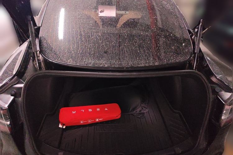Used Tesla Model 3 2020 Standard Range Rear-Wheel Drive Upgraded Version Trunk