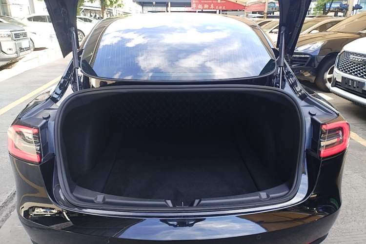 Used Tesla Model 3 2020 Standard Range Rear-Wheel Drive Upgraded Version Trunk