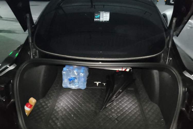 Used Tesla Model 3 2020 Revised Version Standard Range Rear-Wheel Drive – Upgraded Edition Trunk