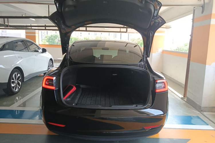 Used Tesla Model 3 2020 Standard Range Rear-Wheel Drive Upgraded Version Trunk