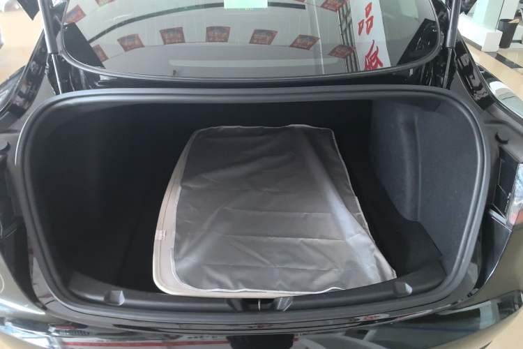 Used Tesla Model 3 2020 Revised Version Standard Range Rear-Wheel Drive – Upgraded Edition Trunk