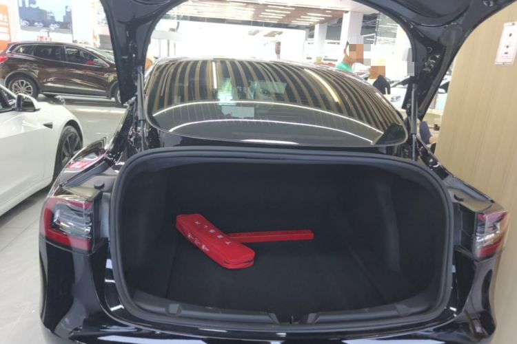 Used Tesla Model 3 2020 Standard Range Rear-Wheel Drive Upgraded Version Trunk