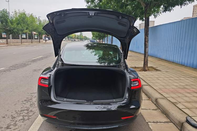 Used Tesla Model 3 2020 Standard Range Rear-Wheel Drive Upgraded Version Trunk