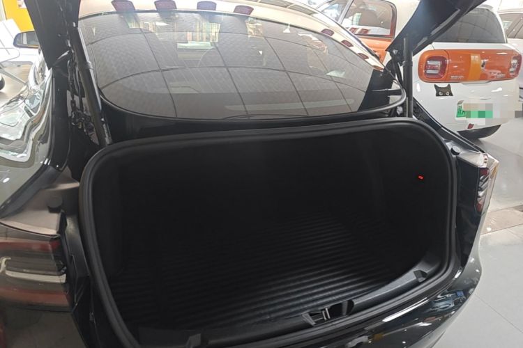 Used Tesla Model 3 2020 Revised Version Standard Range Rear-Wheel Drive – Upgraded Edition Trunk