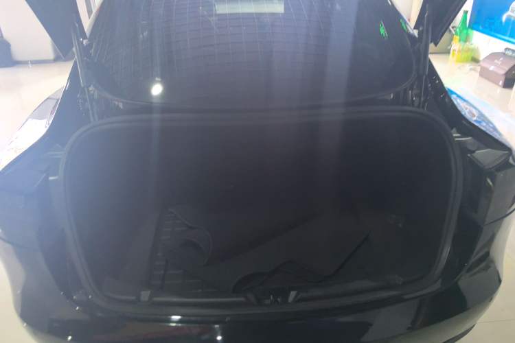 Used Tesla Model 3 2020 Standard Range Rear-Wheel Drive Upgraded Version Trunk