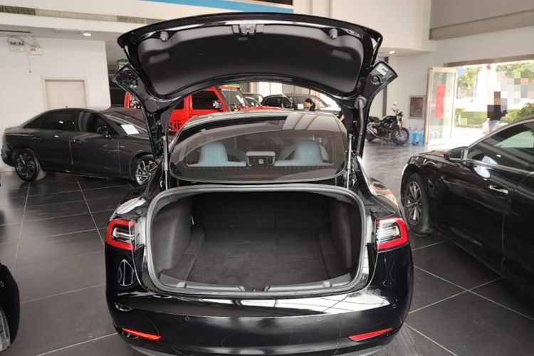 Used Tesla Model 3 2020 Standard Range Rear-Wheel Drive Upgraded Version Trunk