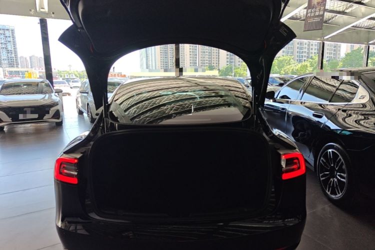 Used Tesla Model 3 2020 Standard Range Rear-Wheel Drive Upgraded Version Trunk