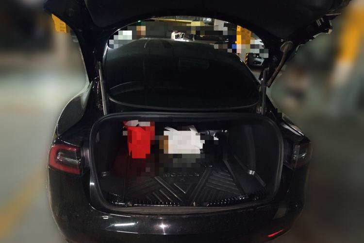 Used Tesla Model 3 2020 Standard Range Rear-Wheel Drive Upgraded Version Trunk