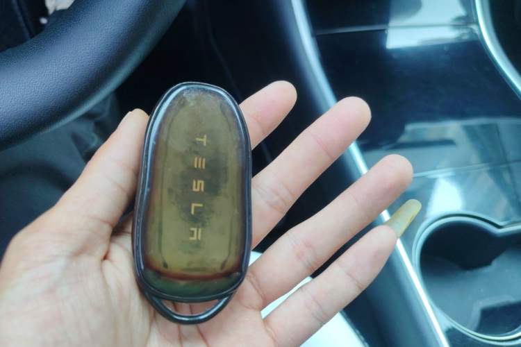 Used Tesla Model 3 2020 Standard Range Rear-Wheel Drive Upgraded Version Vehicle Key