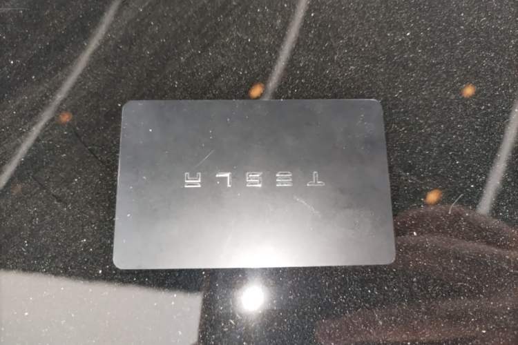 Used Tesla Model 3 2020 Standard Range Rear-Wheel Drive Upgraded Version Vehicle Key
