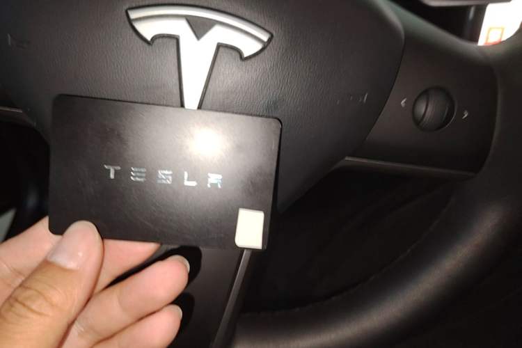 Used Tesla Model 3 2020 Revised Version Standard Range Rear-Wheel Drive – Upgraded Edition Vehicle Key
