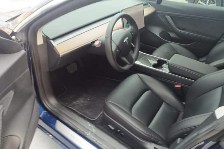 Used Tesla Model 3 2020 Standard Range Rear-Wheel Drive Upgraded Version Driver Seat