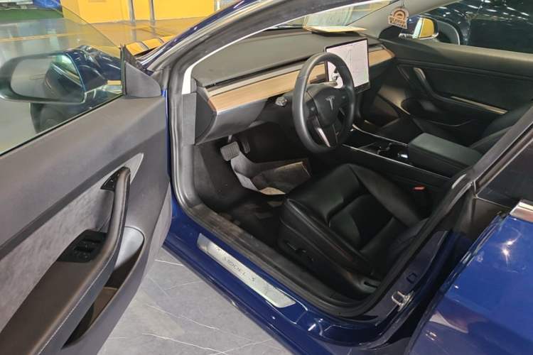 Used Tesla Model 3 2020 Standard Range Rear-Wheel Drive Upgraded Version Driver Seat