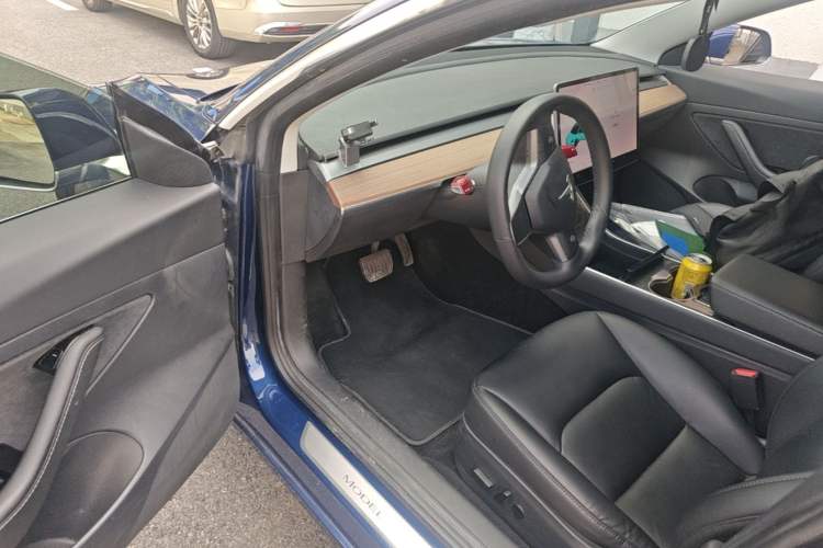 Used Tesla Model 3 2020 Standard Range Rear-Wheel Drive Upgraded Version Driver Seat