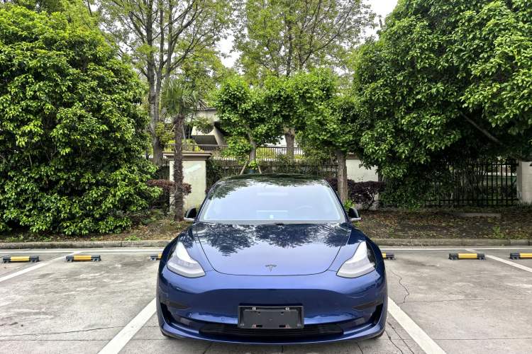 Used Tesla Model 3 2020 Standard Range Rear-Wheel Drive Upgraded Version Exterior 1
