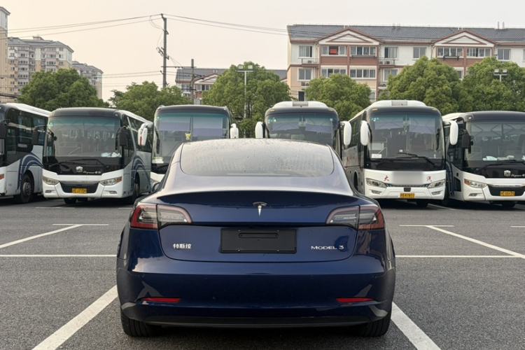 Used Tesla Model 3 2020 Standard Range Rear-Wheel Drive Upgraded Version Exterior 4