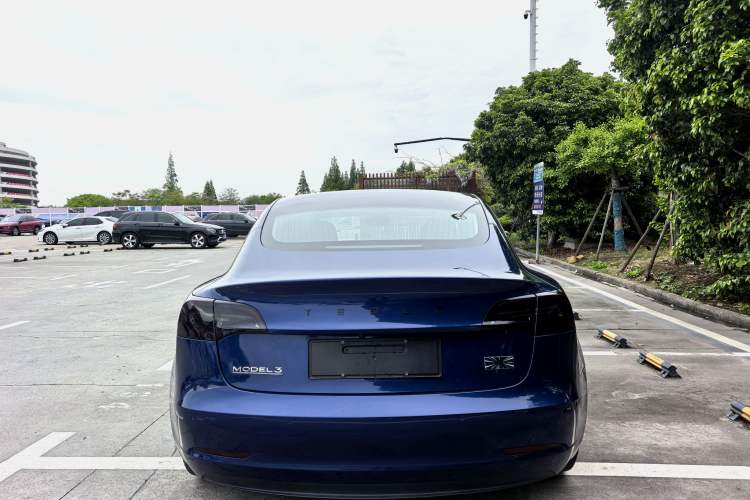 Used Tesla Model 3 2020 Standard Range Rear-Wheel Drive Upgraded Version Exterior 4
