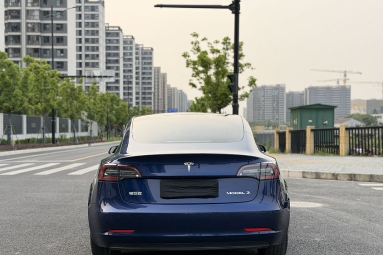 Used Tesla Model 3 2020 Standard Range Rear-Wheel Drive Upgraded Version Exterior 9