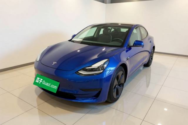 Ojetý Tesla Model 3 2020 Standard Range Rear-Wheel Drive Upgraded Version