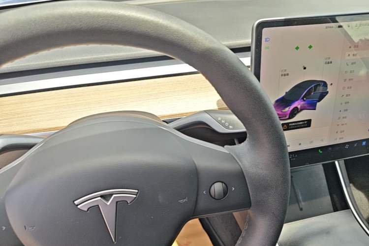 Used Tesla Model 3 2020 Revised Version Standard Range Rear-Wheel Drive – Upgraded Edition Gear Lever