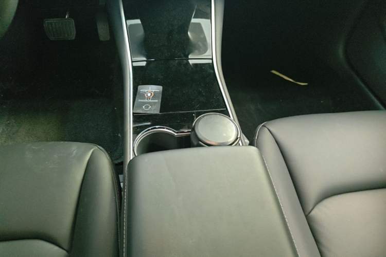Used Tesla Model 3 2020 Revised Version Standard Range Rear-Wheel Drive – Upgraded Edition Gear Lever