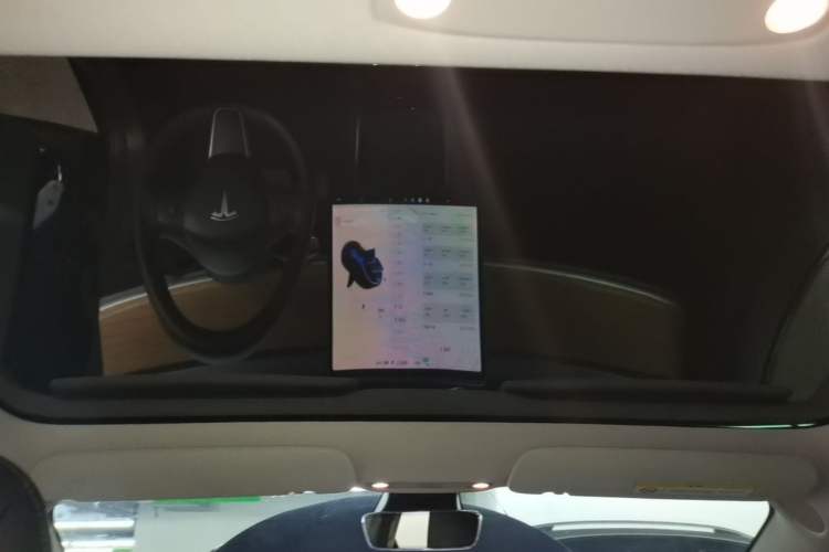 Used Tesla Model 3 2020 Revised Version Standard Range Rear-Wheel Drive – Upgraded Edition Headliner