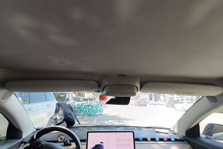 Used Tesla Model 3 2020 Standard Range Rear-Wheel Drive Upgraded Version Headliner