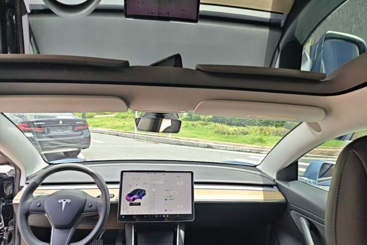 Used Tesla Model 3 2020 Revised Version Standard Range Rear-Wheel Drive – Upgraded Edition Headliner