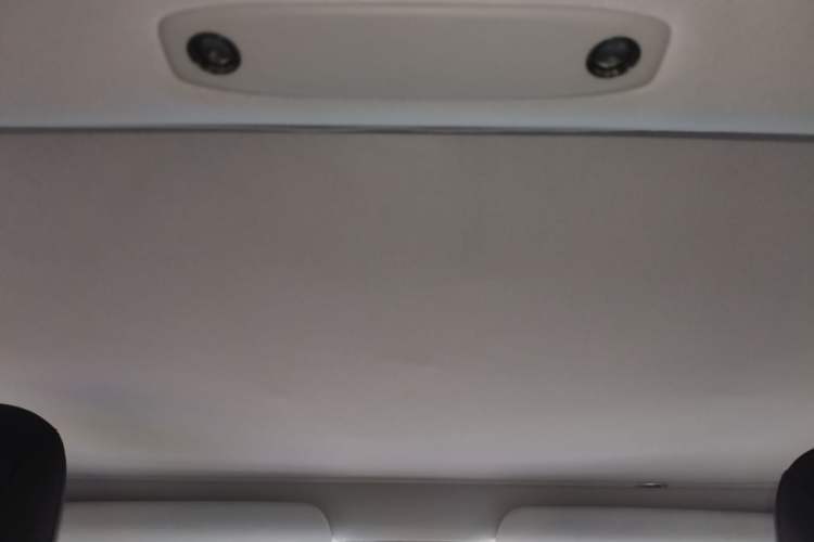 Used Tesla Model 3 2020 Revised Version Standard Range Rear-Wheel Drive – Upgraded Edition Headliner