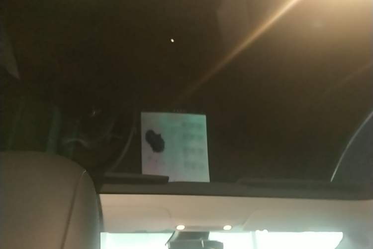 Used Tesla Model 3 2020 Standard Range Rear-Wheel Drive Upgraded Version Headliner