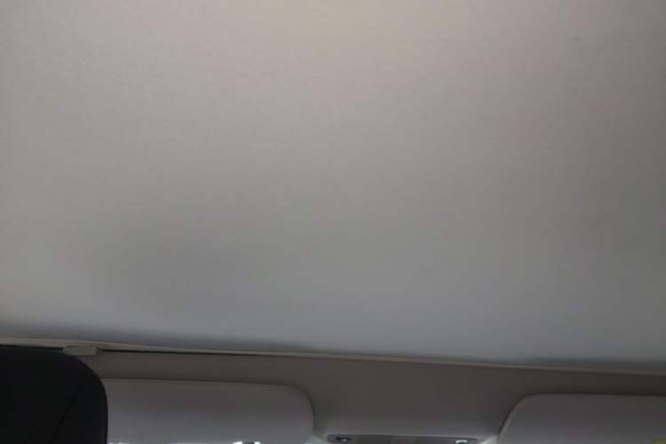 Used Tesla Model 3 2020 Revised Version Standard Range Rear-Wheel Drive – Upgraded Edition Headliner
